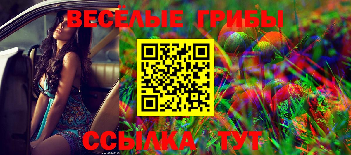 Галлюциногенные грибы Cubensis Старая Купавна