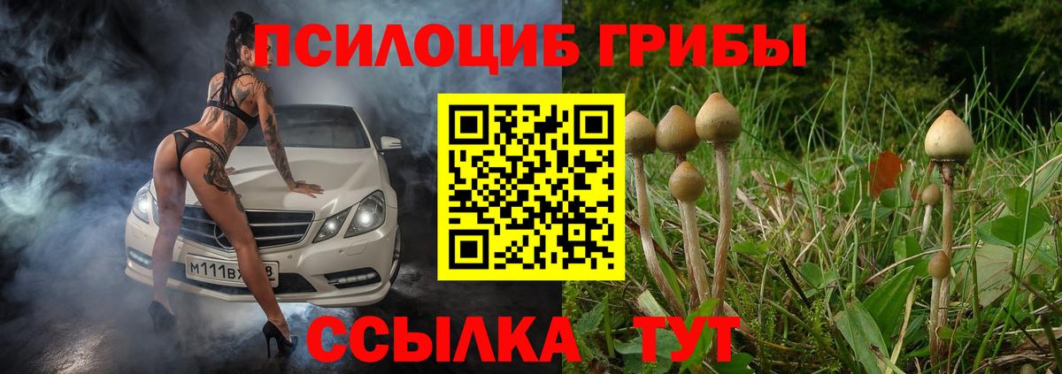 Псилоцибиновые грибы мицелий  Вход с VPN  как найти   Старая Купавна 